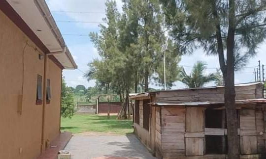 House For Sale Kungu