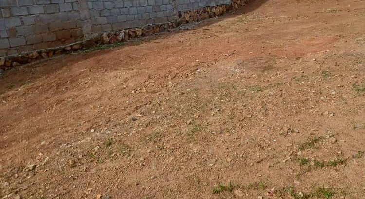 Land For Sale – Makerere