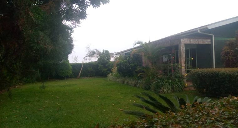 Chelsea Vacation Rentals – Cozy HideOut