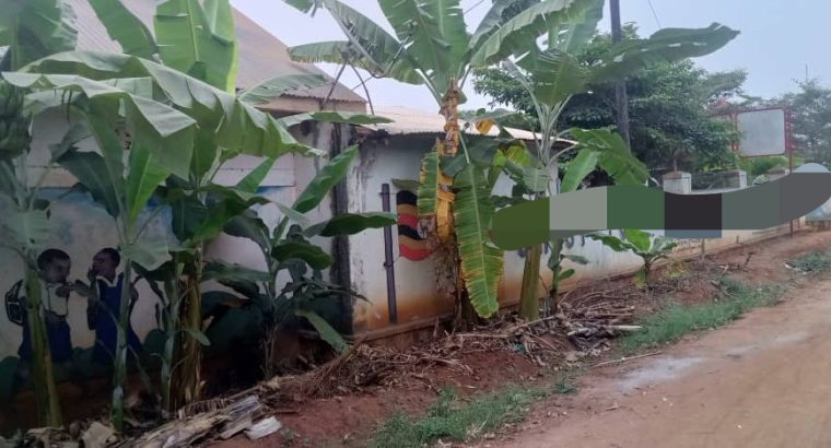 Primary School For Sale – Kiboga