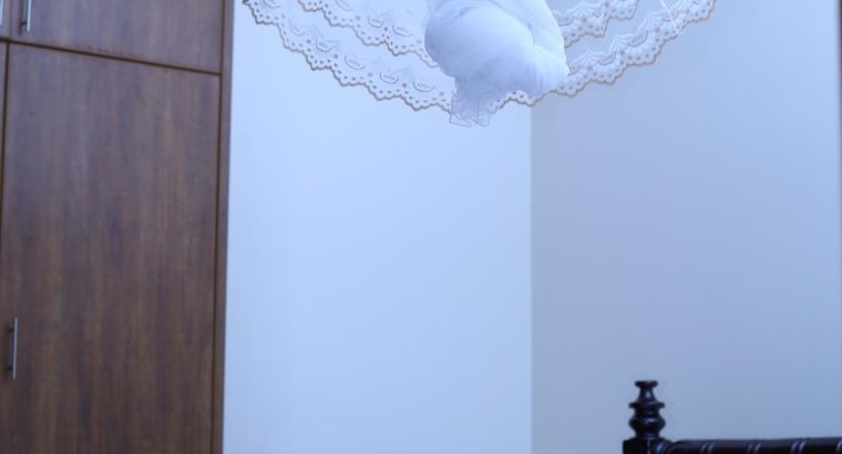 Chelsea Vacation Rentals – Serene Homes