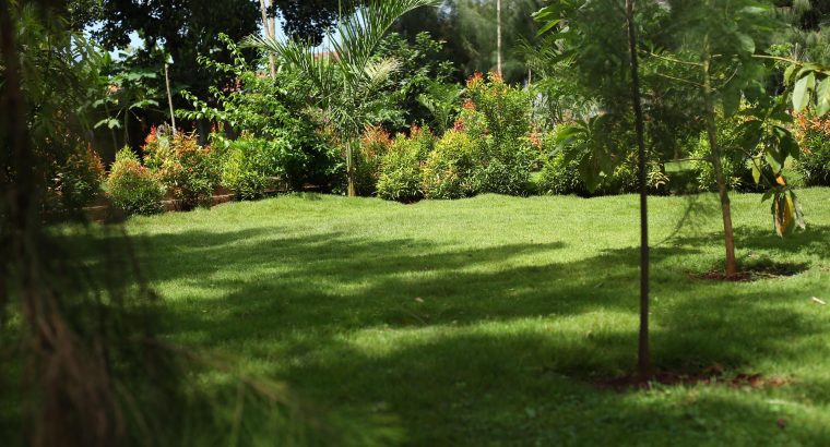 Chelsea Vacation Rentals – Serene Homes