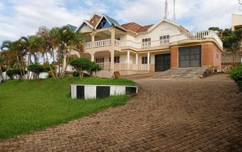 House For Rent-Kigo