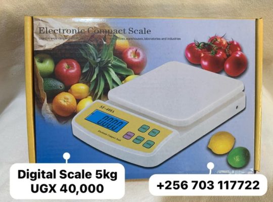 Digital Weighing Scale