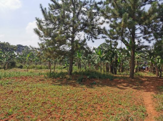 Land For Sale – Gayaza