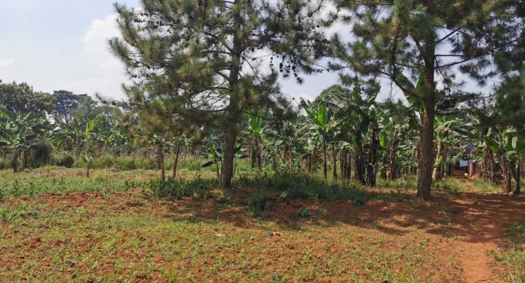 Land For Sale – Gayaza