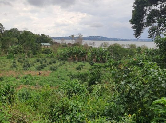 Land For Sale – Kasanje