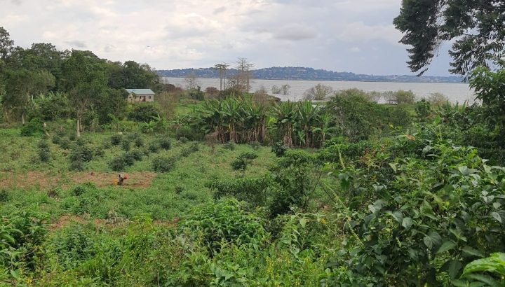 Land For Sale – Kasanje