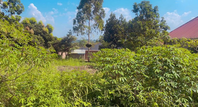 Land For Sale-Mayangwa