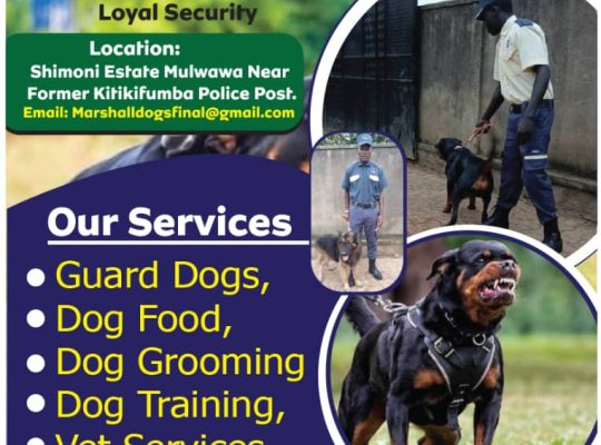 Security Solutions With a Bite!