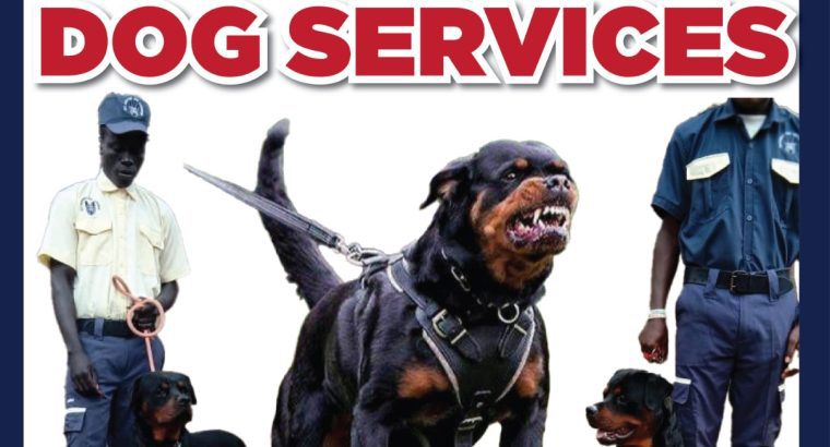 Security Solutions With a Bite!