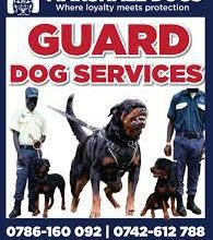 VACANCY – Independent Telesales Consultant/Agent