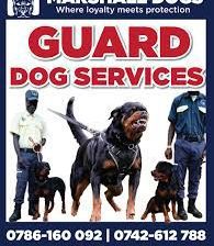 VACANCY – Independent Telesales Consultant/Agent